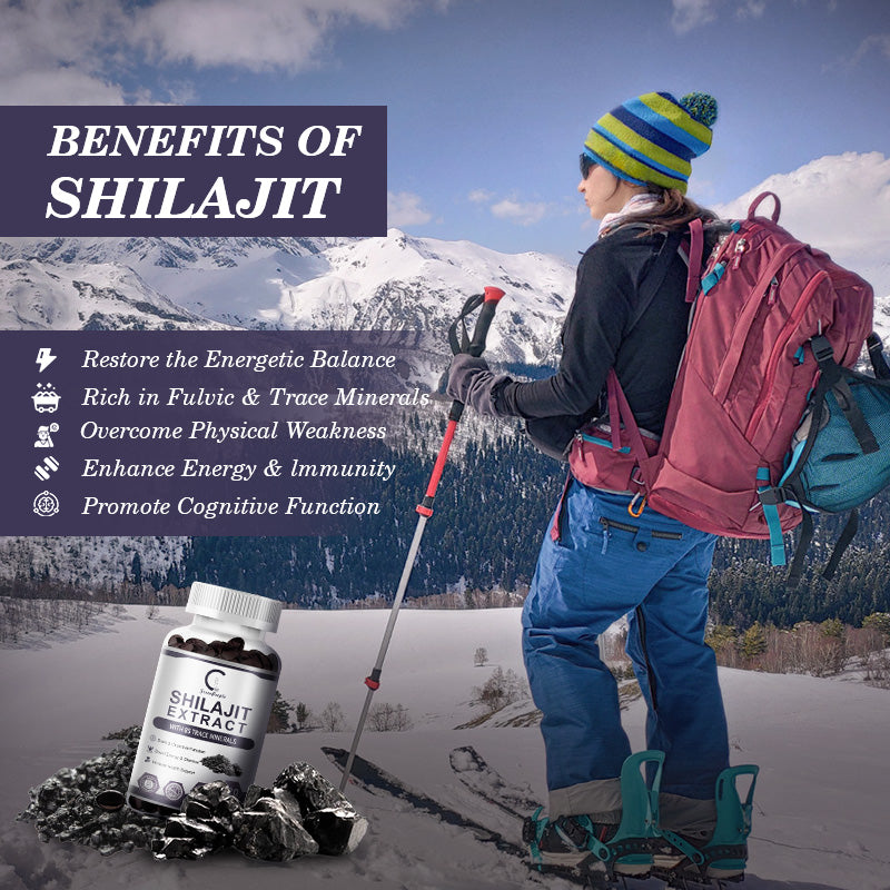 Shilajit Pure Himalayan Capsules 2000mg Support Enhanced Energy and Immune with Fulvic Acid & Trace Minerals for Men & Women