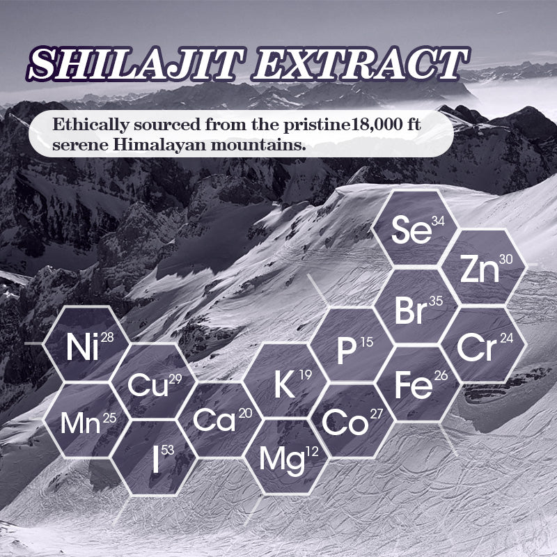 Shilajit Pure Himalayan Capsules 2000mg Support Enhanced Energy and Immune with Fulvic Acid & Trace Minerals for Men & Women