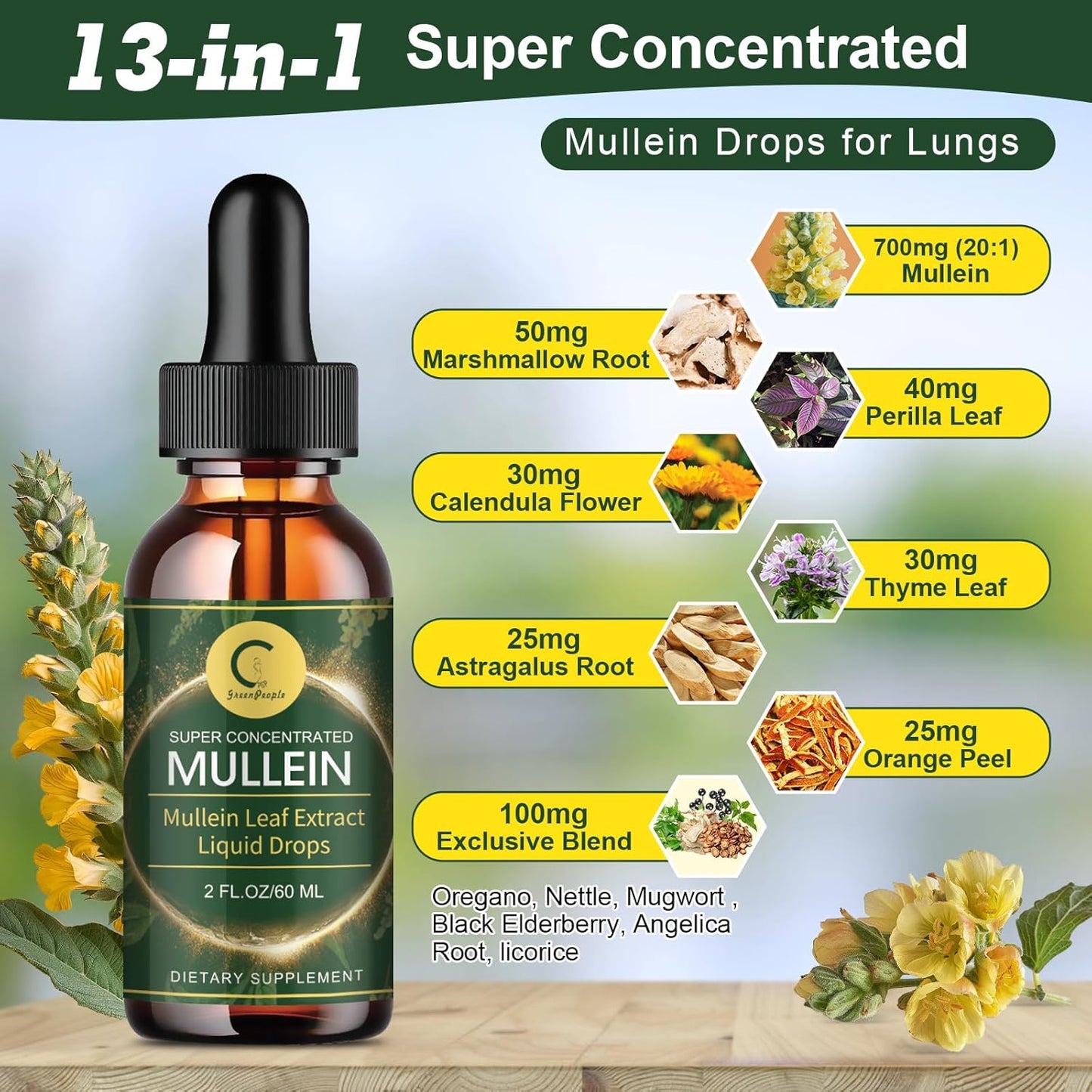 (2 Pack) Mullein Drops for Lungs - 14000mg Mullein Leaf Extract for Lung Detox & Cleanse, Support for Respiratory, Immune, Digestive System, Natural Mullein Liquid Tincture, Non-GMO, 4 FL OZ - GPGP GREENPEOPLE