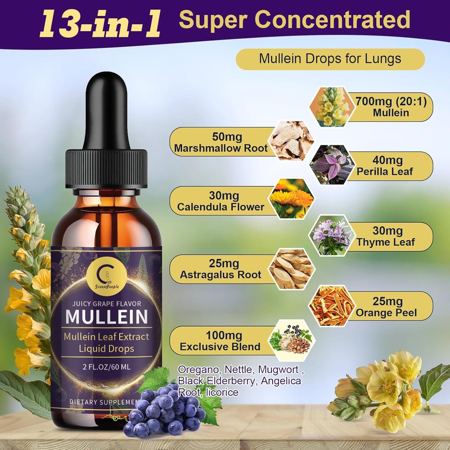 Herbal Ingredients in Mullein Drops – Mullein Leaf, Calendula, Thyme, Astragalus, Oregano, Elderberry Extract