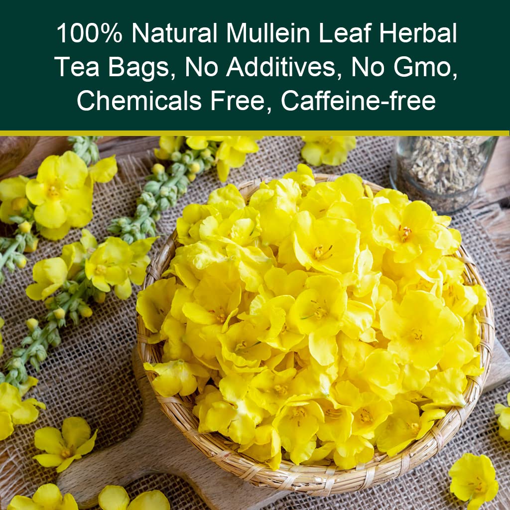 Mullein Leaf Tea for Lungs Cleanse and Immune Support, 100% Natural, Caffeine Free, 40 Tea Bags - GPGP GREENPEOPLE
