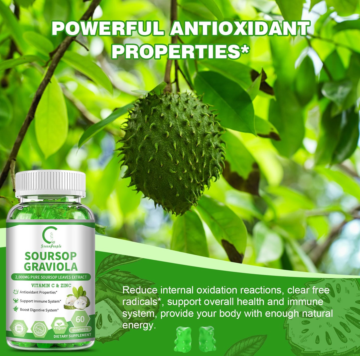 Soursop Graviola Gummies, Soursop Leaves Extract for Energy Boost, Digestive & Immune Support, Antioxidant Properties, Pure Soursop Fruit Gummies, Vegan, Non-GMO, 60 Counts