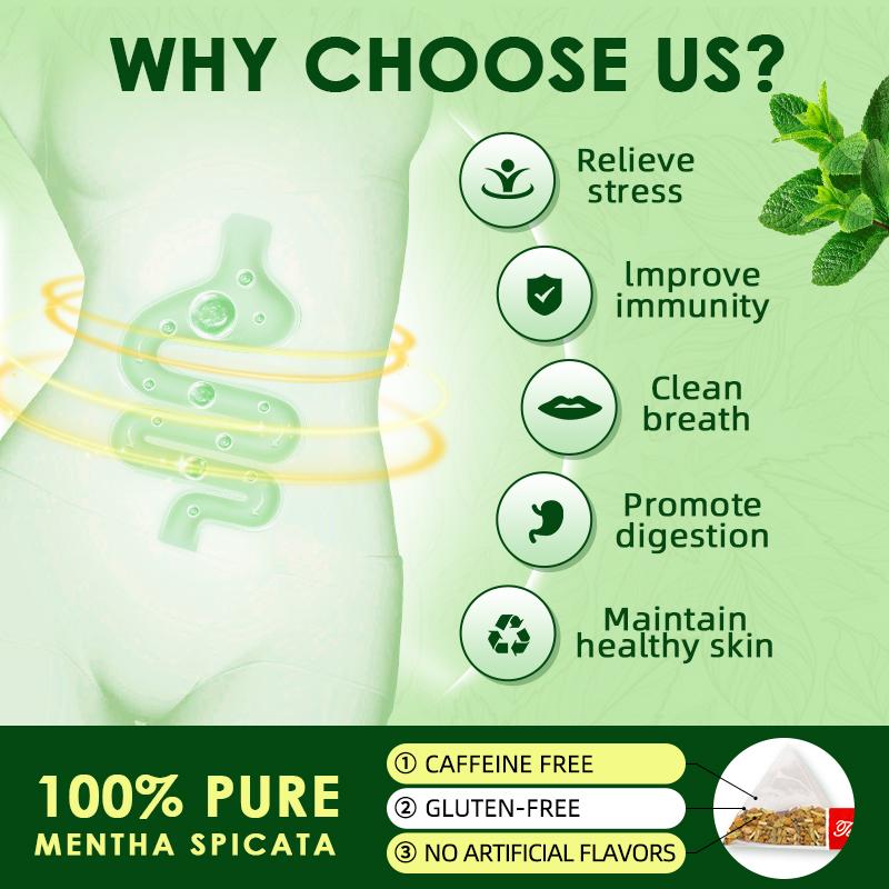 Spearmint Herbal Tea for Digestive Health & Stress Relief Clean Breath Refreshing