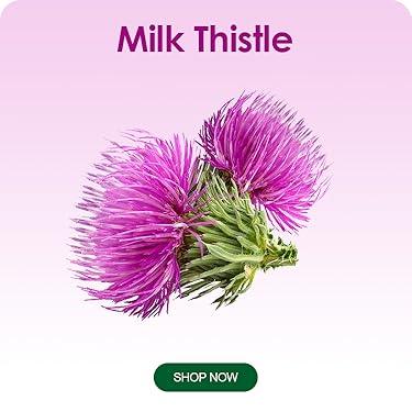 Milk Thistlle