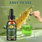 (2 Pack) Mullein Drops for Lungs - 14000mg Mullein Leaf Extract for Lung Detox & Cleanse, Support for Respiratory, Immune, Digestive System, Natural Mullein Liquid Tincture, Non-GMO, 4 FL OZ - GPGP GREENPEOPLE