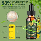 (2 Pack) Mullein Drops for Lungs - 14000mg Mullein Leaf Extract for Lung Detox & Cleanse, Support for Respiratory, Immune, Digestive System, Natural Mullein Liquid Tincture, Non-GMO, 4 FL OZ - GPGP GREENPEOPLE