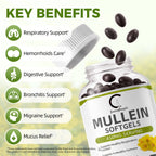 Mullein Leaf 450mg, Supports Respiratory & Bronchial Health, 120 Capsules - GPGP GREENPEOPLE