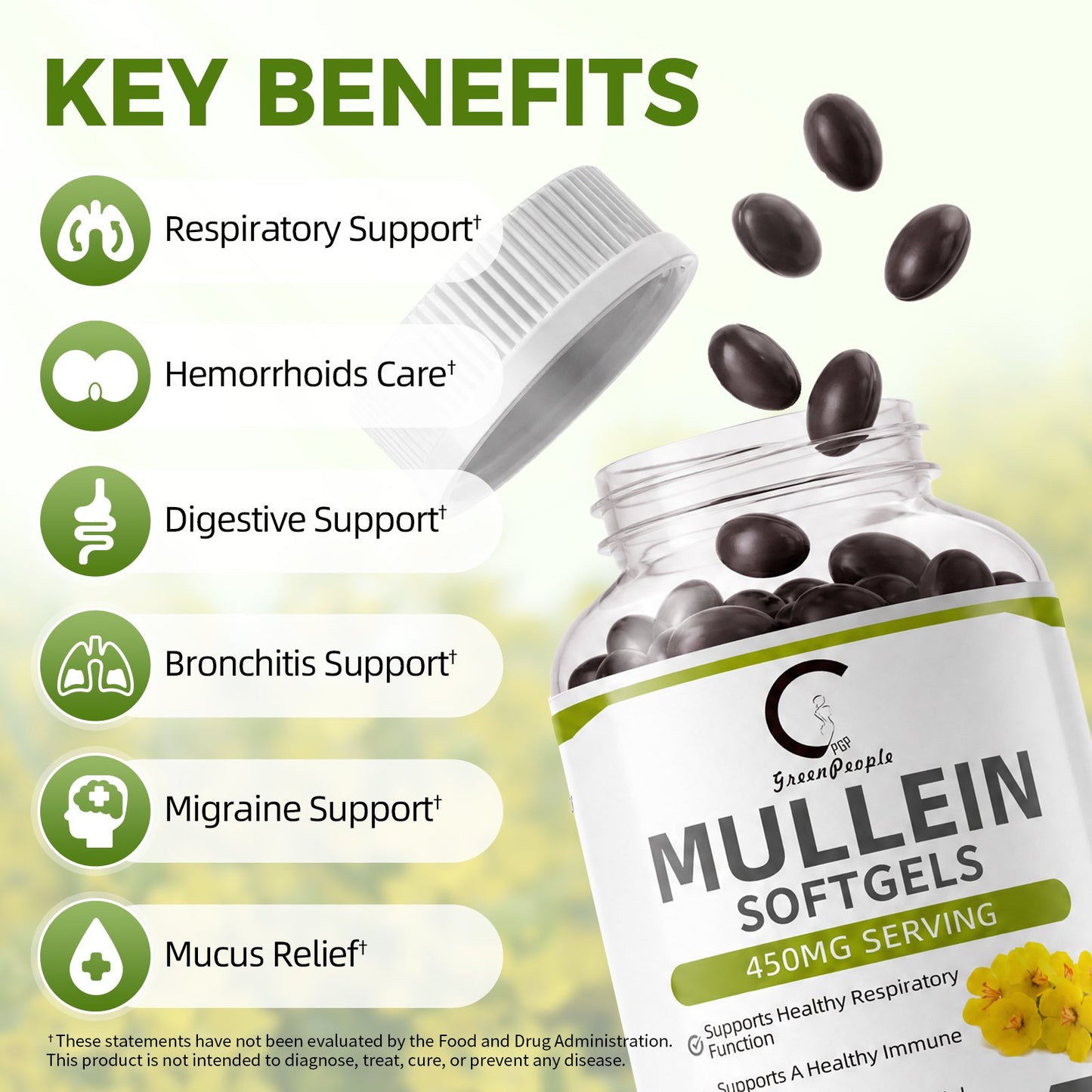 (2 PACK) Mullein Leaf 450mg, Supports Respiratory & Bronchial Health, 240 Capsules
