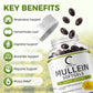 (2 PACK) Mullein Leaf 450mg, Supports Respiratory & Bronchial Health, 240 Capsules