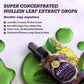 Natural Mullein Leaf Extract Drops for Lung Cleanse & Detox Support for Respiratory, Immune, Digestive System,Grape Flavor, 2 FL OZ