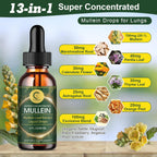 (2 Pack) Mullein Drops for Lungs - 14000mg Mullein Leaf Extract for Lung Detox & Cleanse, Support for Respiratory, Immune, Digestive System, Natural Mullein Liquid Tincture, Non-GMO, 4 FL OZ - GPGP GREENPEOPLE