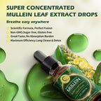 (2 Pack) Mullein Drops for Lungs - 14000mg Mullein Leaf Extract for Lung Detox & Cleanse, Support for Respiratory, Immune, Digestive System, Natural Mullein Liquid Tincture, Non-GMO, 4 FL OZ - GPGP GREENPEOPLE