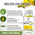 Mullein Leaf 450mg, Supports Respiratory & Bronchial Health, 120 Capsules - GPGP GREENPEOPLE