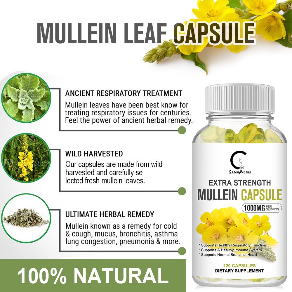 (2 PACK) Mullein Leaf 450mg, Supports Respiratory & Bronchial Health, 240 Capsules