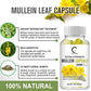 (2 PACK) Mullein Leaf 450mg, Supports Respiratory & Bronchial Health, 240 Capsules