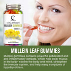 (2Pack)GPGP Mullein Leaf Gummies 2000mg, Respiratory System Health Support,Lung Cleansing & Detox, 60 Count - GPGP GREENPEOPLE