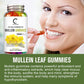 GPGP Mullein Leaf Gummies 2000mg, Respiratory System Health Support,Lung Cleansing & Detox, 60 Count - GPGP GREENPEOPLE