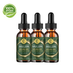 Mullein Drops for Lungs - Vegan Mullein Leaf Extract Liquid Tincture, Support for Respiratory, Immune, Digestive System, Natural Herbal Supplement, Non-GMO, 6 fl oz, 3 Pack - GPGP GREENPEOPLE