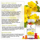 GPGP Mullein Leaf Gummies 2000mg, Respiratory System Health Support,Lung Cleansing & Detox, 60 Count - GPGP GREENPEOPLE