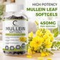 (2 PACK) Mullein Leaf 450mg, Supports Respiratory & Bronchial Health, 240 Capsules