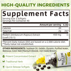 Mullein Leaf 450mg, Supports Respiratory & Bronchial Health, 120 Capsules - GPGP GREENPEOPLE