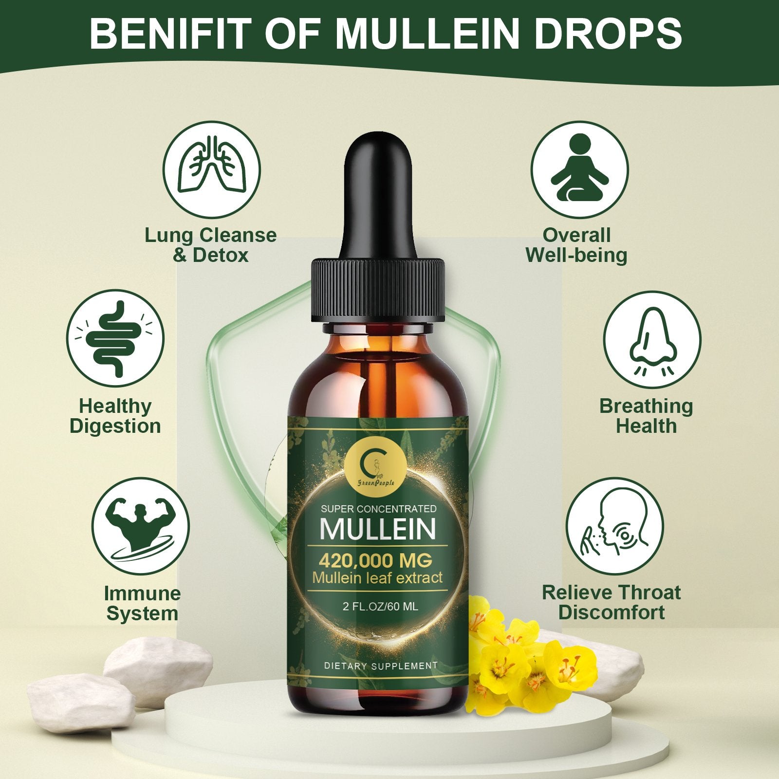GPGP GREENPEOPLE Mullein Drops for Lungs, Organic Mullein Leaf Extract Drops For Lung Cleanse & Detox - GPGP GREENPEOPLE
