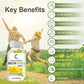 GPGP Greenpeople Mullein Leaf Capsules Support Respiratory System Health Lung Cleansing And Detoxification