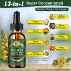 Herbal lung detox tincture with mullein leaf, calendula, elderberry, and thyme in alcohol-free liquid form