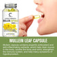 GPGP Greenpeople Mullein Leaf Capsules Support Respiratory System Health Lung Cleansing And Detoxification