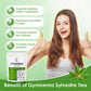Gymnema Sylvestre Leaf Tea Bag No Caffeine, Organic, GMO-Free, Gluten-Free