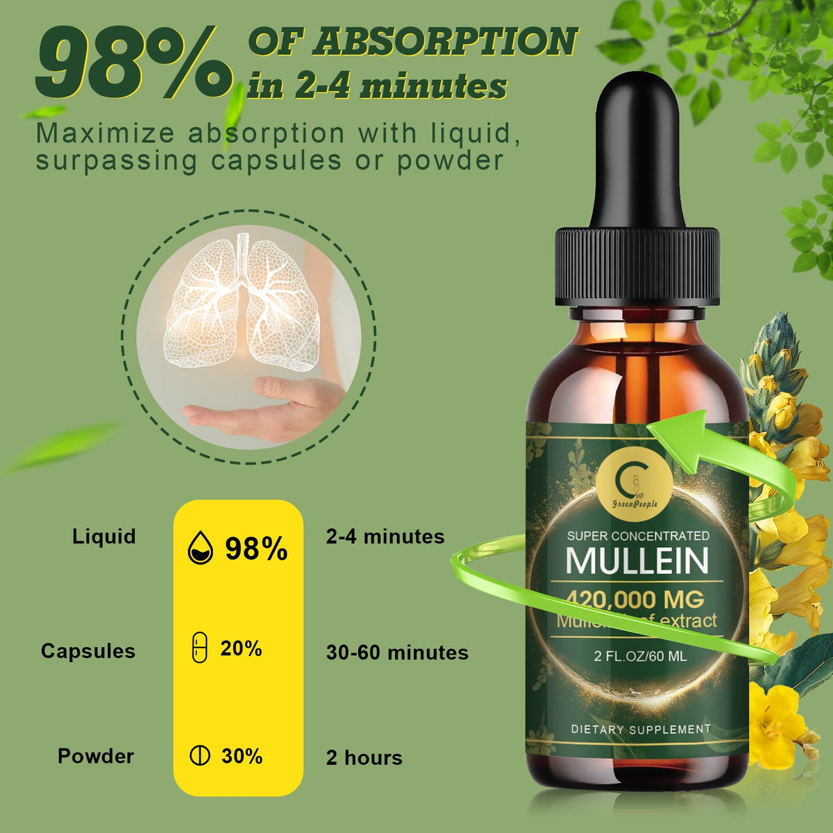 GPGP GREENPEOPLE Mullein Drops for Lungs, Organic Mullein Leaf Extract Drops For Lung Cleanse & Detox 60ml - GPGP GREENPEOPLE