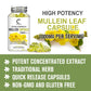 GPGP Greenpeople Mullein Leaf Capsules Support Respiratory System Health Lung Cleansing And Detoxification